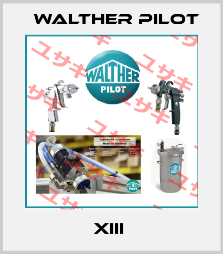 XIII  Walther Pilot