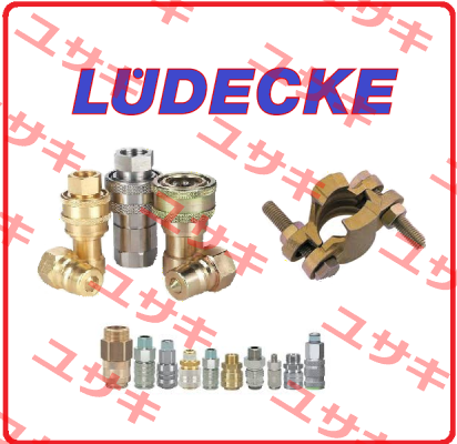 SUS316/Female thread coupling Ludecke