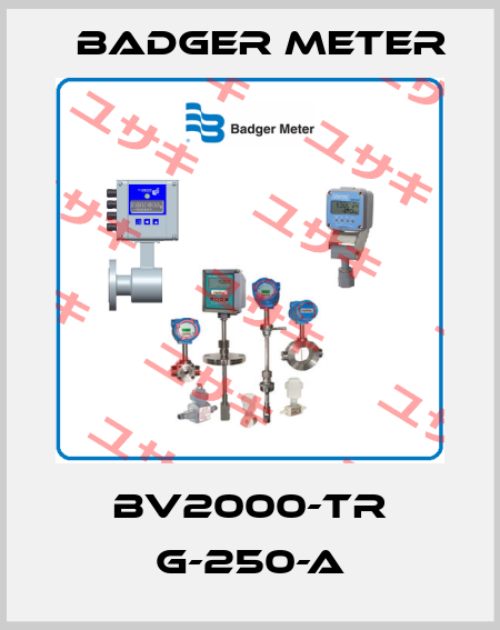 BV2000-TR G-250-A Badger Meter