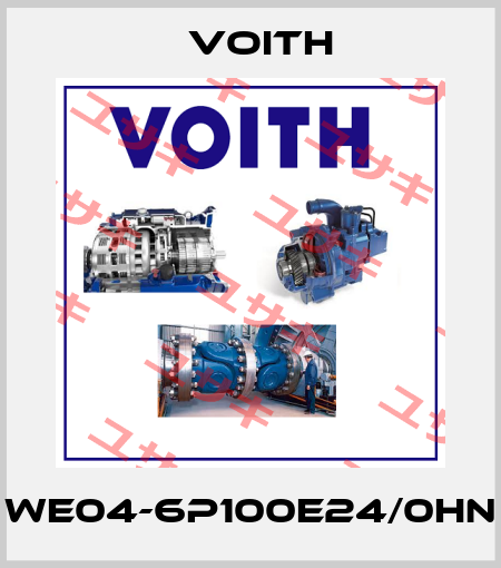 WE04-6P100E24/0HN Voith