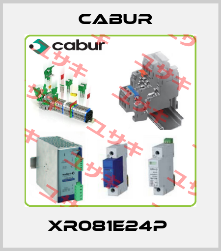 XR081E24P  Cabur