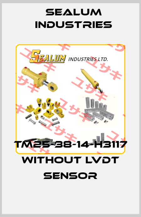 TM25-38-14-H3117 without LVDT sensor SEALUM INDUSTRIES