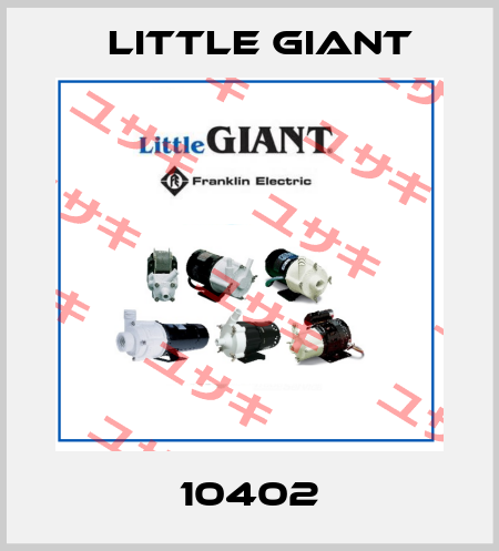 10402 Little Giant