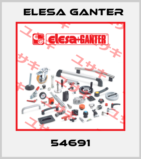 54691 Elesa Ganter