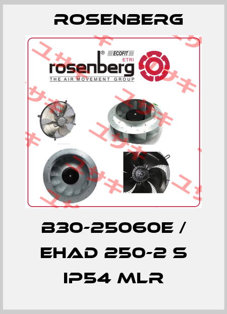 B30-25060E / EHAD 250-2 S IP54 MLR Rosenberg