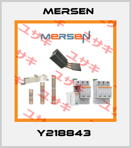 Y218843  Mersen