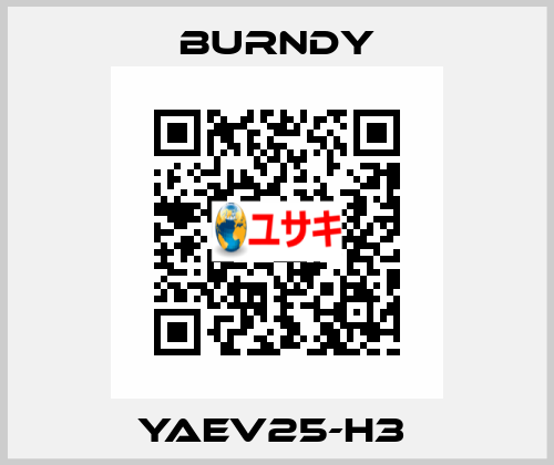 YAEV25-H3  Burndy