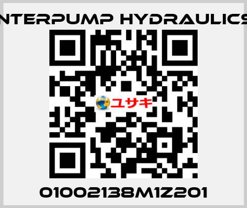 01002138M1Z201 Interpump hydraulics