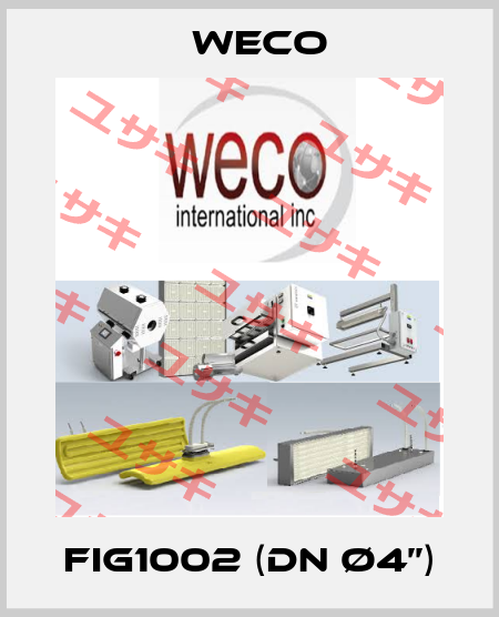 FIG1002 (DN Ø4’’) Weco