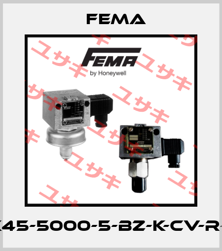 I/X45-5000-5-BZ-K-CV-R-01 FEMA