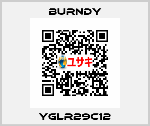 YGLR29C12 Burndy