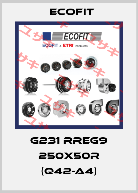 G231 RREG9 250x50R (Q42-A4) Ecofit