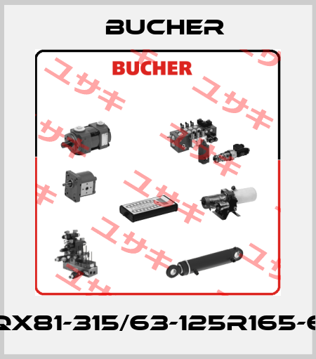 QX81-315/63-125R165-6 Bucher