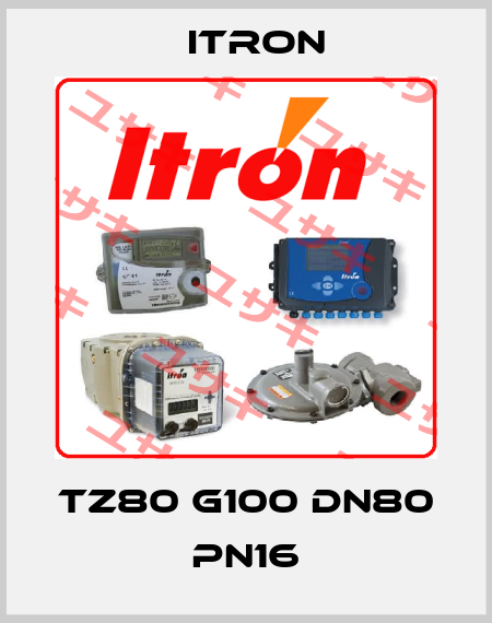 TZ80 G100 DN80 PN16 Itron