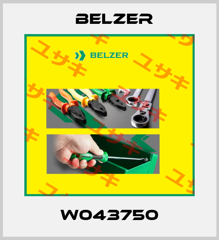 W043750 Belzer