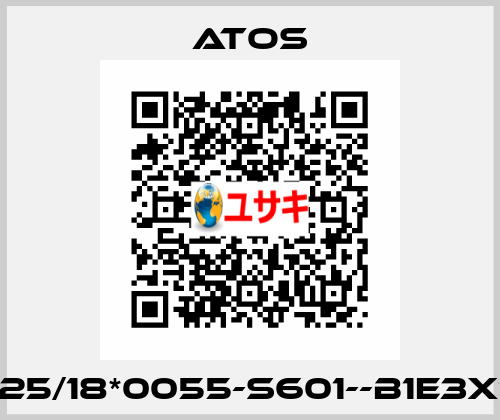 CK-25/18*0055-S601--B1E3X1Z3 Atos