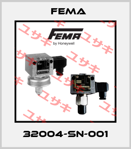 32004-SN-001 FEMA