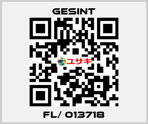 FL/ 013718 Gesint