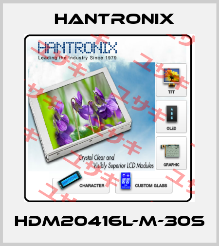 HDM20416L-M-30S Hantronix