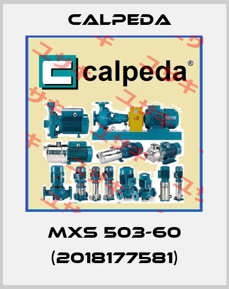 MXS 503-60 (2018177581) Calpeda