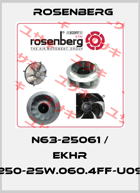 N63-25061 / EKHR 250-2SW.060.4FF-U09 Rosenberg