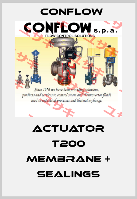 Actuator T200 Membrane + Sealings CONFLOW