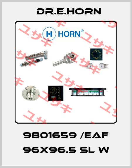 9801659 /EAF 96X96.5 sl W Dr.E.Horn