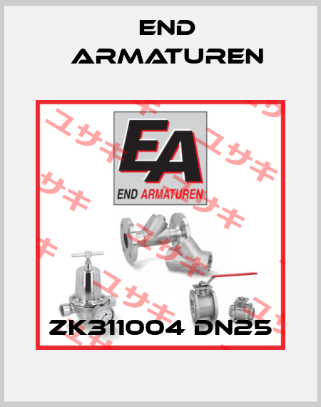 ZK311004 DN25 End Armaturen
