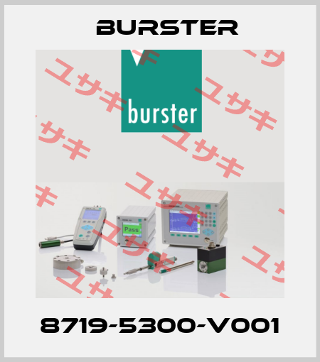 8719-5300-V001 Burster
