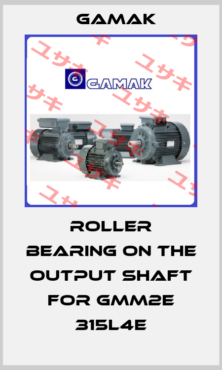 roller bearing on the output shaft for GMM2E 315L4e Gamak