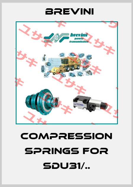 compression springs for SDU31/.. Brevini