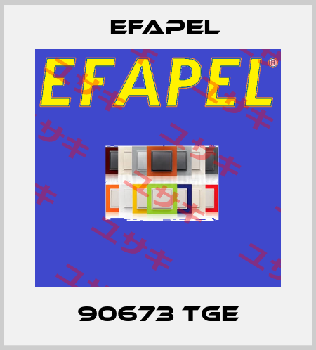90673TGE EFAPEL