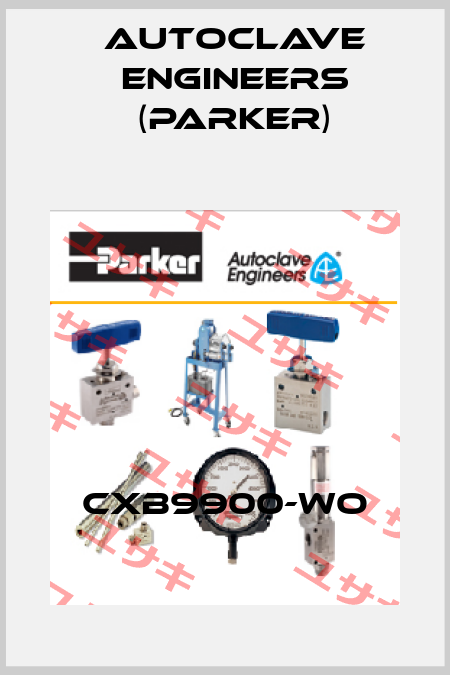 CXB9900-WO Autoclave Engineers (Parker)