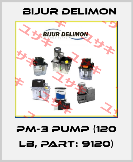 PM-3 Pump (120 lb, part: 9120) Bijur Delimon