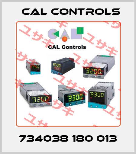 734038 180 013 Cal Controls