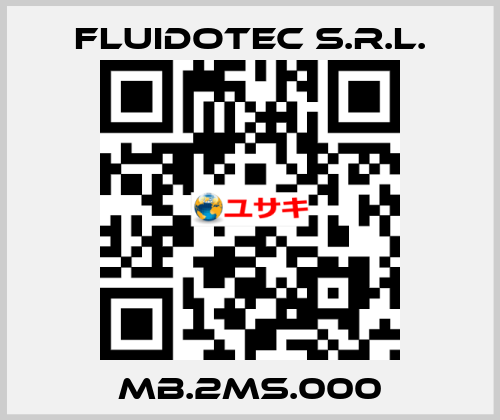 MB.2MS.000 FLUIDOTEC S.r.l.