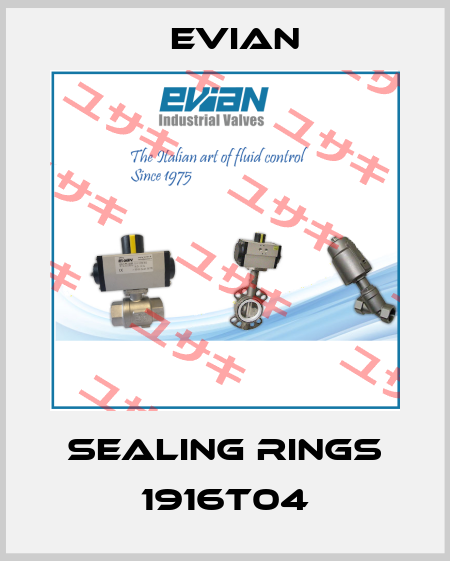 sealing rings 1916T04 Evian
