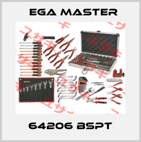 64206 BSPT EGA Master