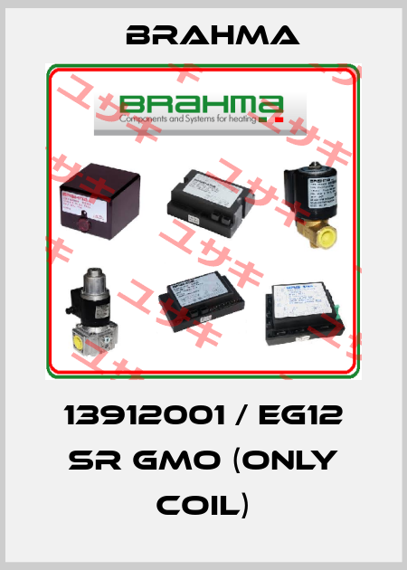 13912001 / EG12 SR GMO (only coil) Brahma
