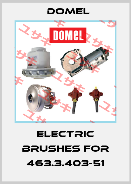 Electric brushes for 463.3.403-51 Domel