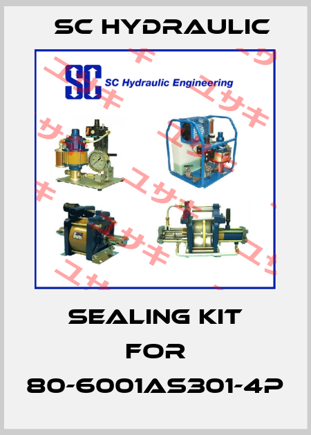 sealing kit for 80-6001AS301-4P SC Hydraulic