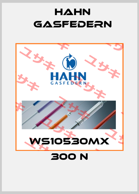 WS10530MX 300 N Hahn Gasfedern