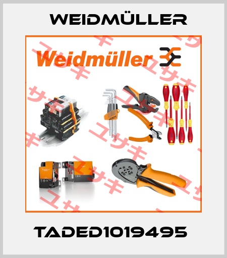 TADED1019495  Weidmüller