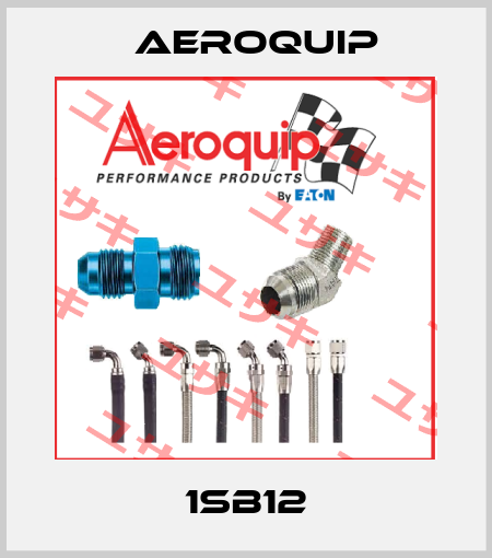 1SB12 Aeroquip