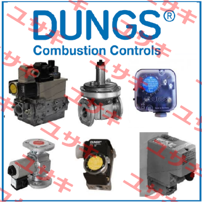 control segment for LGW 50 A2P Dungs