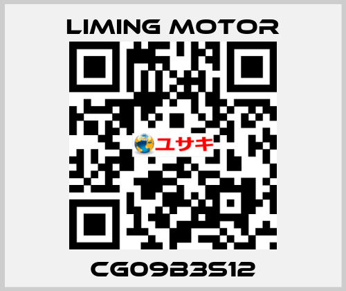 CG09B3S12 Liming Motor