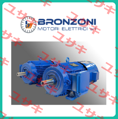 Engine cover for I1003A-IE3-90L Bronzoni