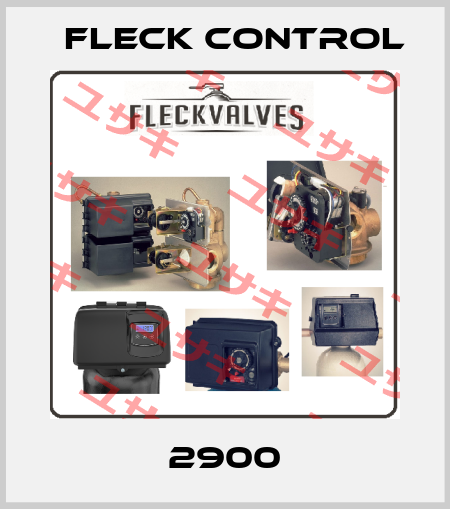 2900 Fleck Control