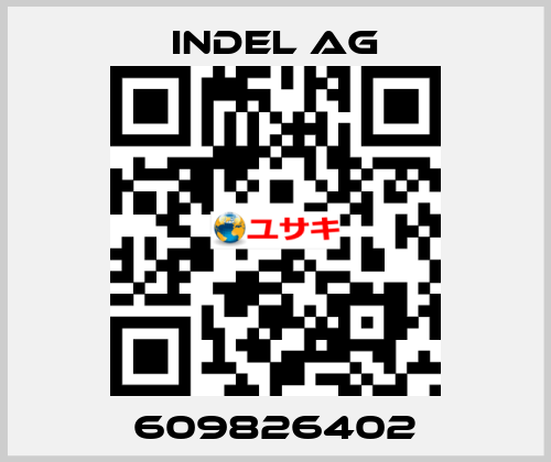 609826402 INDEL AG