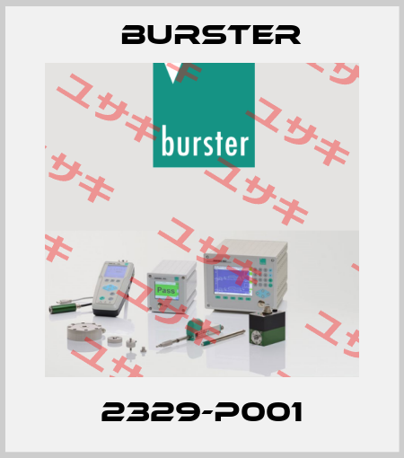 2329-P001 Burster